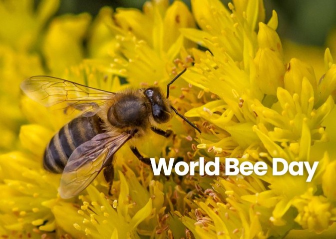World Bee Day-2027