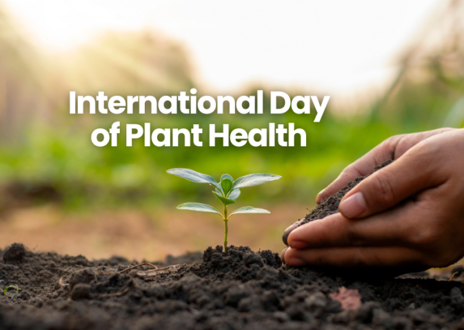 International Day of Plant Health 2025