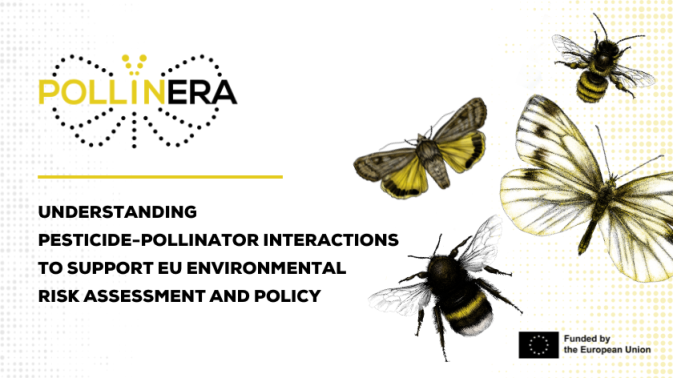 Understanding pesticide-pollinator interactions to support EU Environmental Risk Assessment and policy: The PollinERA project