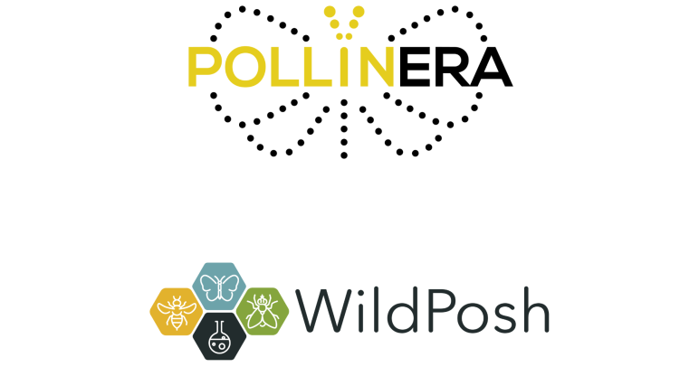 Towards a better understanding of exposure routes and toxicological and ecological impacts of chemical pollution on terrestrial biodiversity