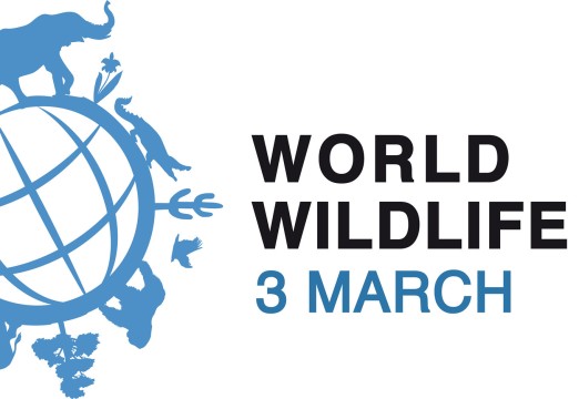 World Wildlife Day 2024