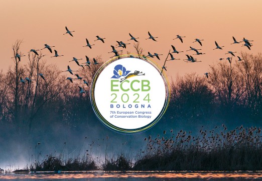 ECCB 2024