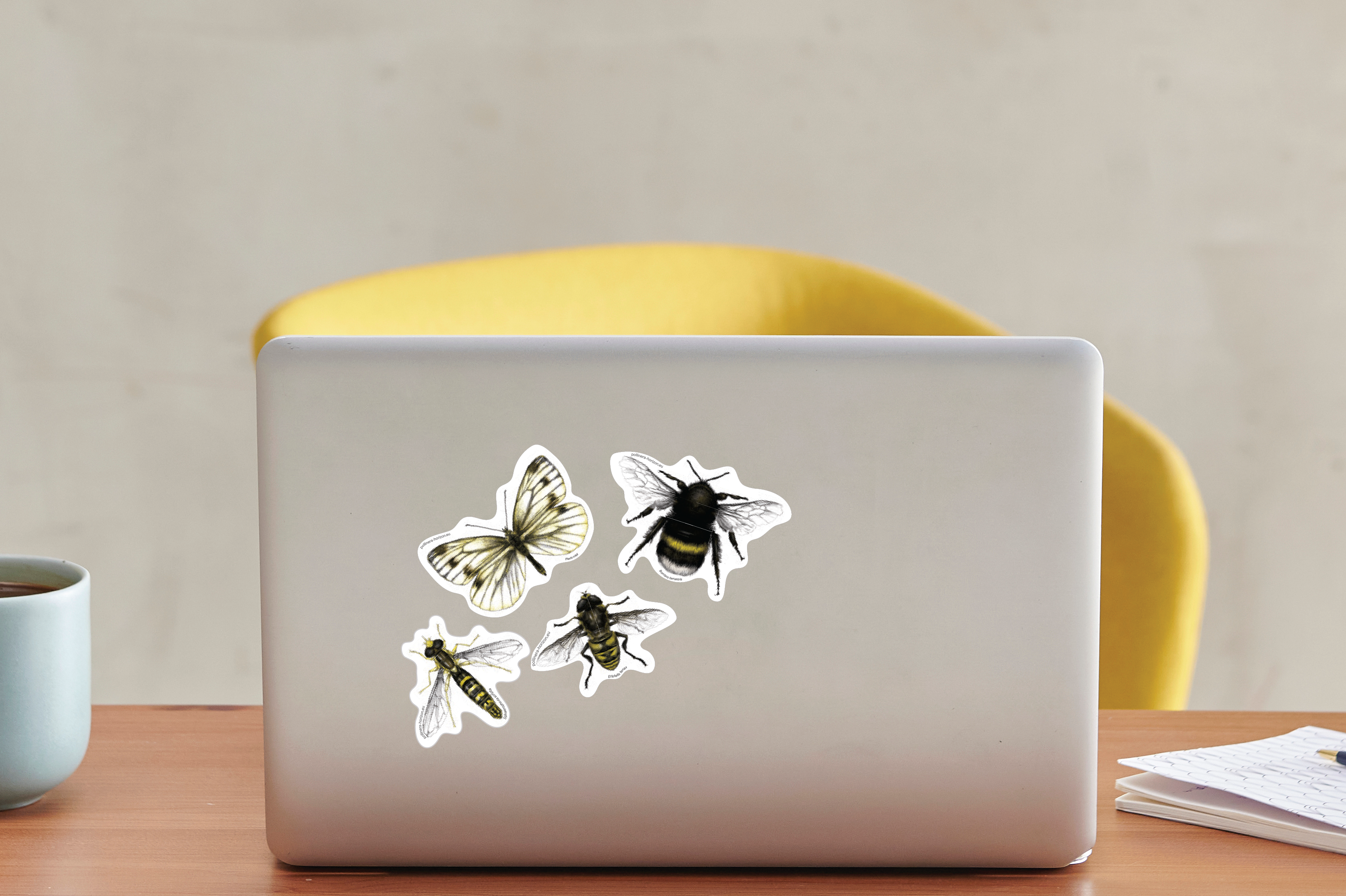 Study species sticker project material
