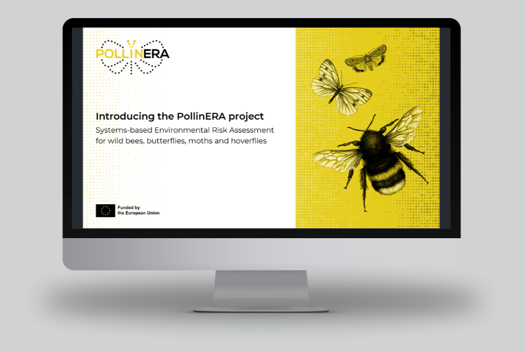 Introductory presentation project material