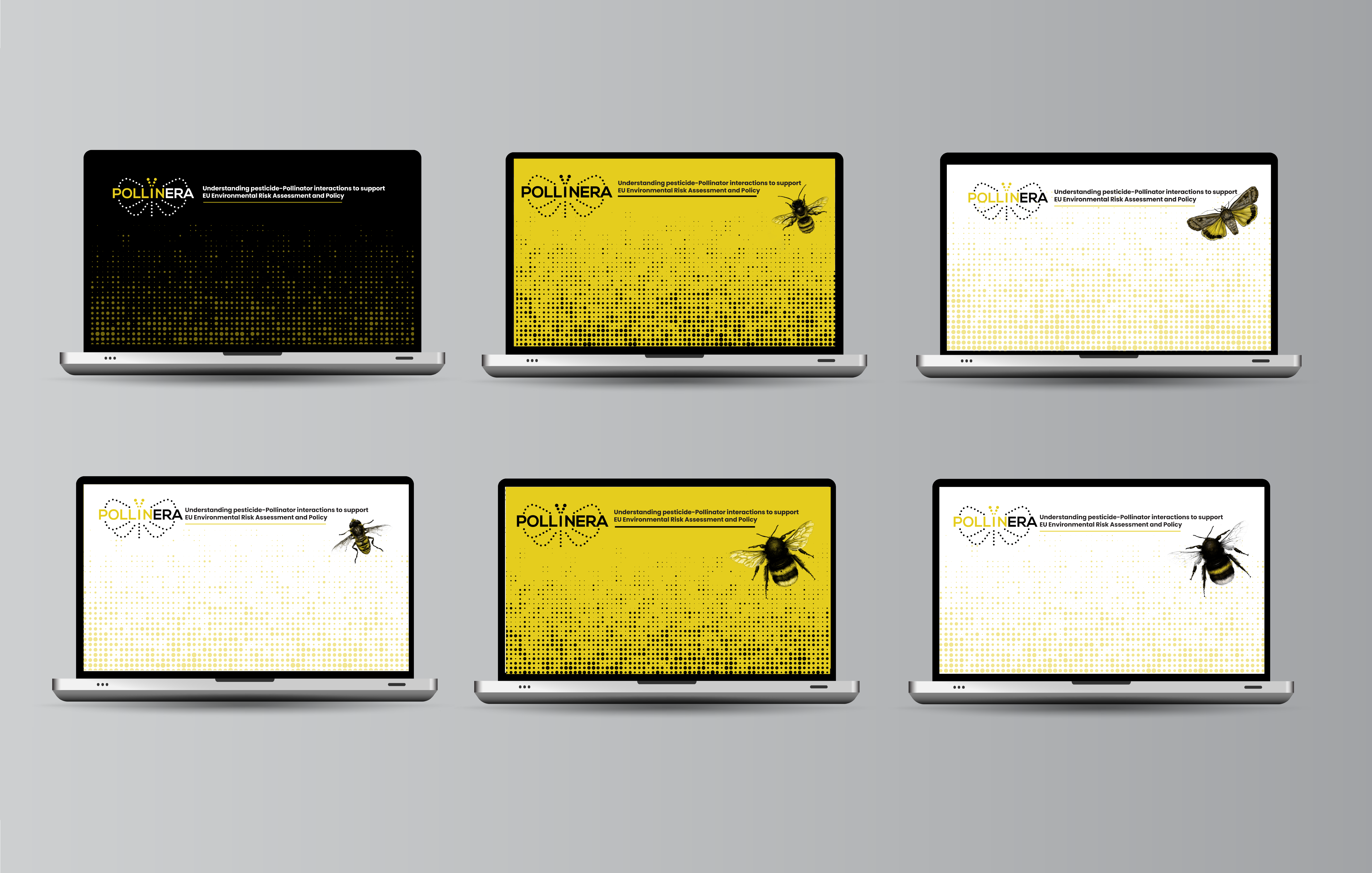 Virtual meeting backgrounds project material