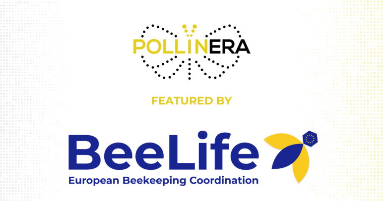 New feature: BeeLife sheds light on PollinERA’s mission