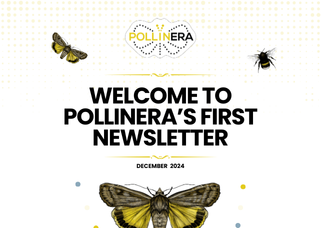 PollinERA | Welcome newsletter newsletter cover