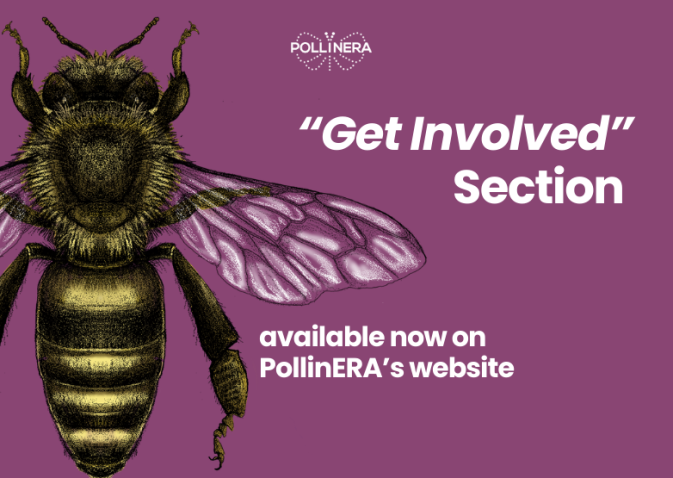 Get involved in PollinERA: New website section launched