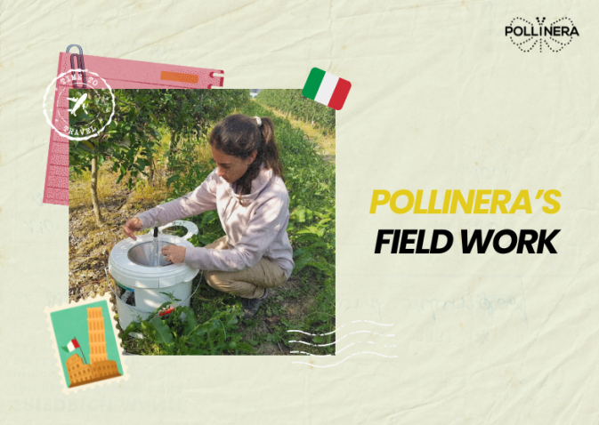 A look back at PollinERA’s fieldwork in 2024: Italy