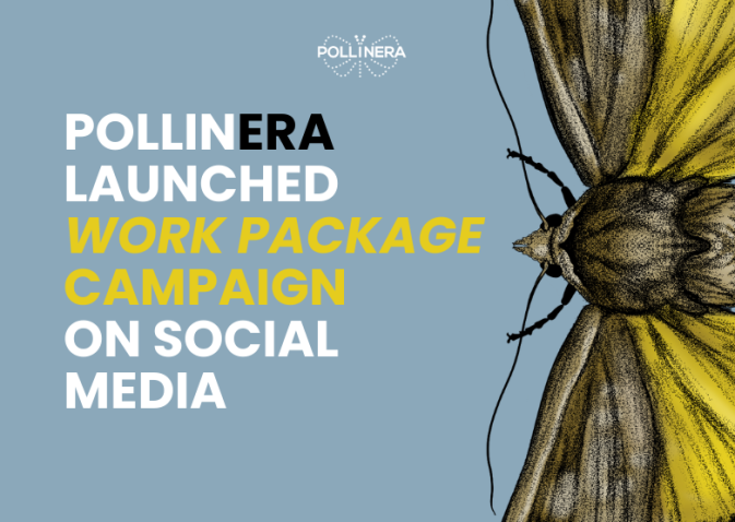 Exploring PollinERA’s Work Packages: New Social Media Campaign Launched