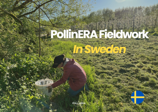 A look back at PollinERA’s fieldwork in 2024: Sweden