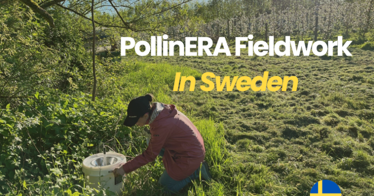 A look back at PollinERA’s fieldwork in 2024: Sweden