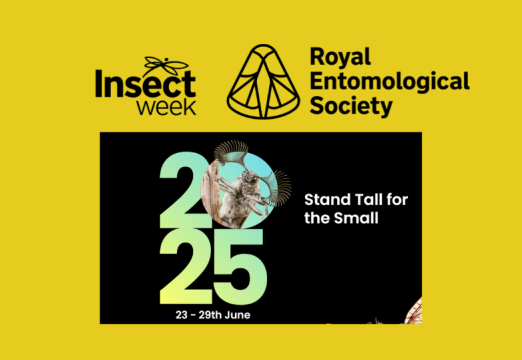 Insect Week