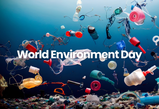 World Environment Day 2025