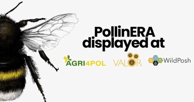 PollinERA project materials featured at recent pollinator project meetings