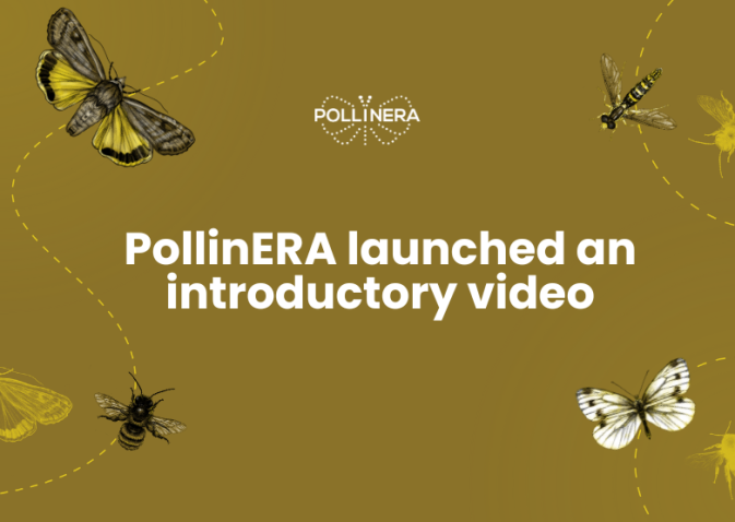 New approach to environmental risk assessment: The PollinERA project video