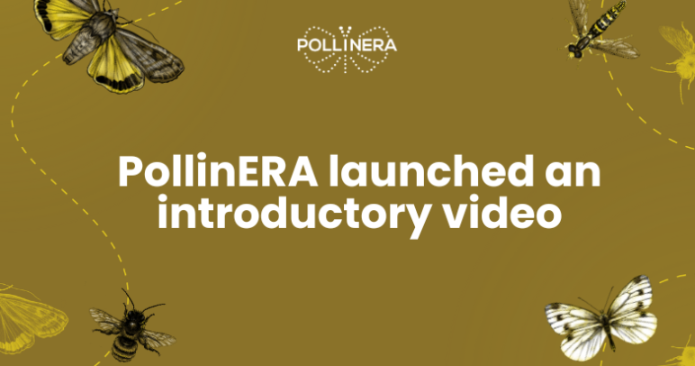 New approach to environmental risk assessment: The PollinERA project video