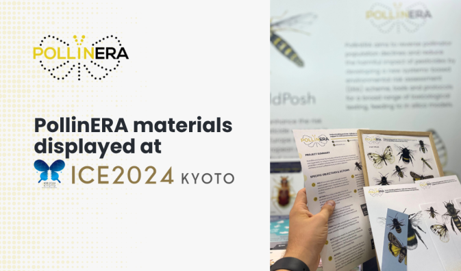 PollinERA project materials displayed at ICE2024