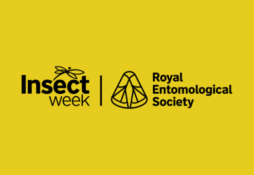 Insect Week 2026