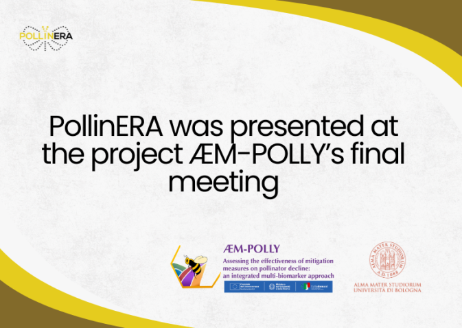 PollinERA presented at the final event of the Italian national project ÆM-POLLY