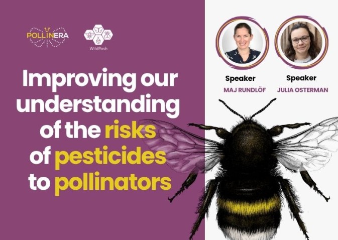 PollinERA and WildPosh joint presentation at ‘Pesticides and pollinators’ seminar