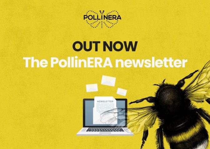 The latest PollinERA newsletter is here
