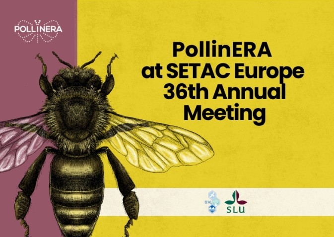 PollinERA presented at SETAC Europe’s 36th Annual Meeting