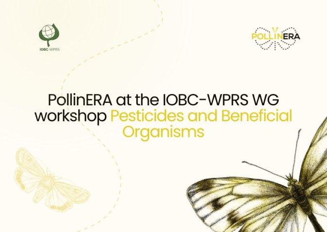 PollinERA at the IOBC-WPRS WG workshop “Pesticides and Beneficial Organisms”