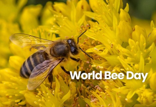 World Bee Day-2027