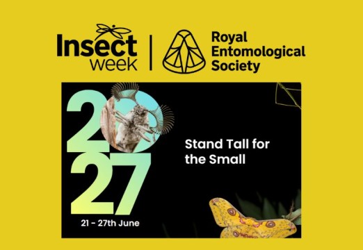 Insect Week 2027