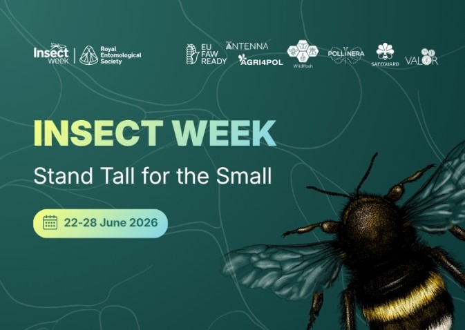 Find the mystery species: PollinERA celebrated Insect Week with a special social media campaign