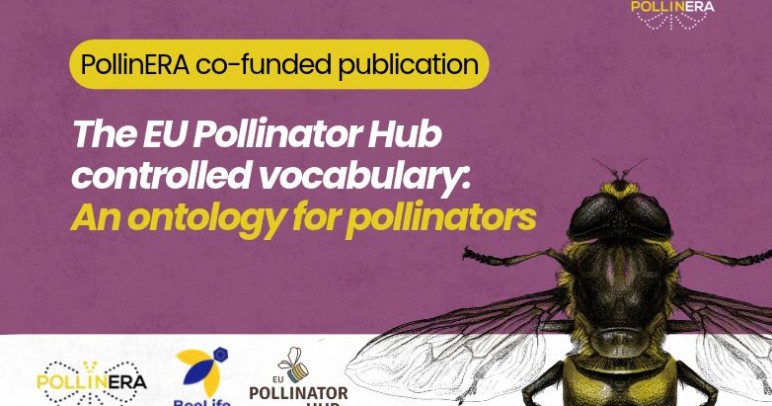 The Pollinator Ontology: Building a shared language for pollinators